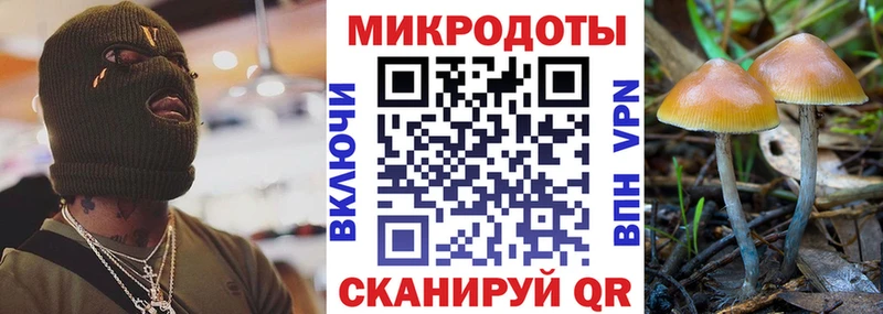 блэк спрут сайт  Заозёрный  Псилоцибиновые грибы мухоморы  наркошоп 